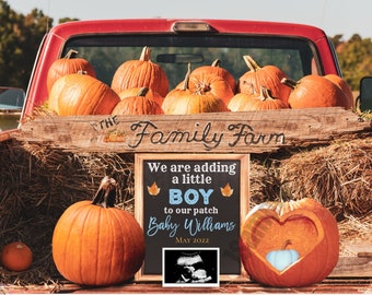 Fall Pregnancy Announcement Boy Digital Autumn Template Pumpkin Patch Baby Announcement Halloween Social Media Facebook Rustic Instagram