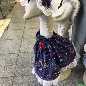Fireworks Large Cement Goose Dress or Plastic