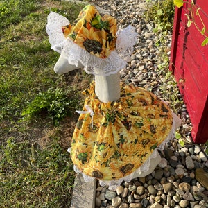 Goose dresses