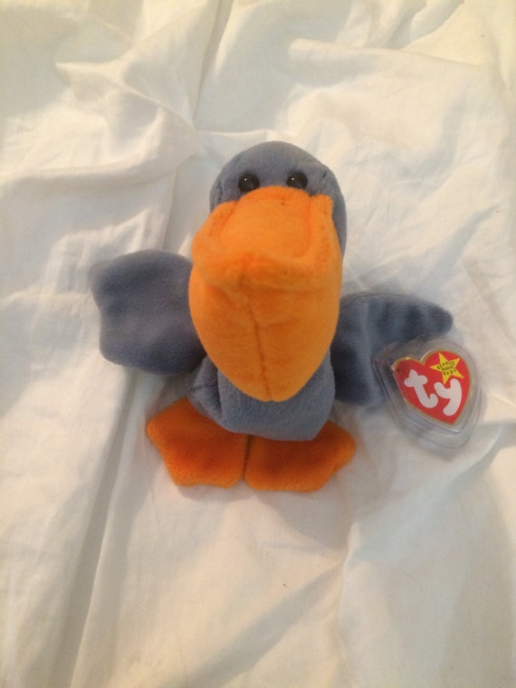scoop beanie baby