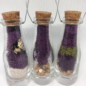 Hängende Flasche Terrarium