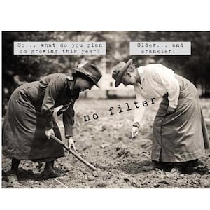Older and Crankier:  vintage photograph greeting card; sassy, humorous, funny, silly, sarcastic.  #2403