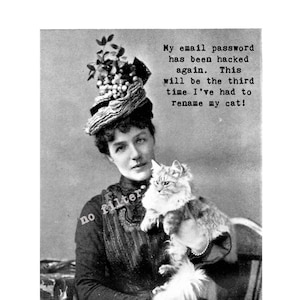 Cat and the Hat:  vintage photograph greeting card; sassy, humorous, funny, silly, sarcastic. #1210
