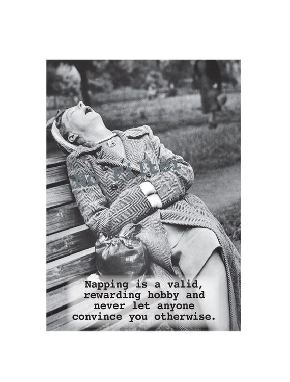 Napping:  vintage photograph greeting card; sassy, humorous, hilarious, cute, unique, sarcastic, retro.  #2308