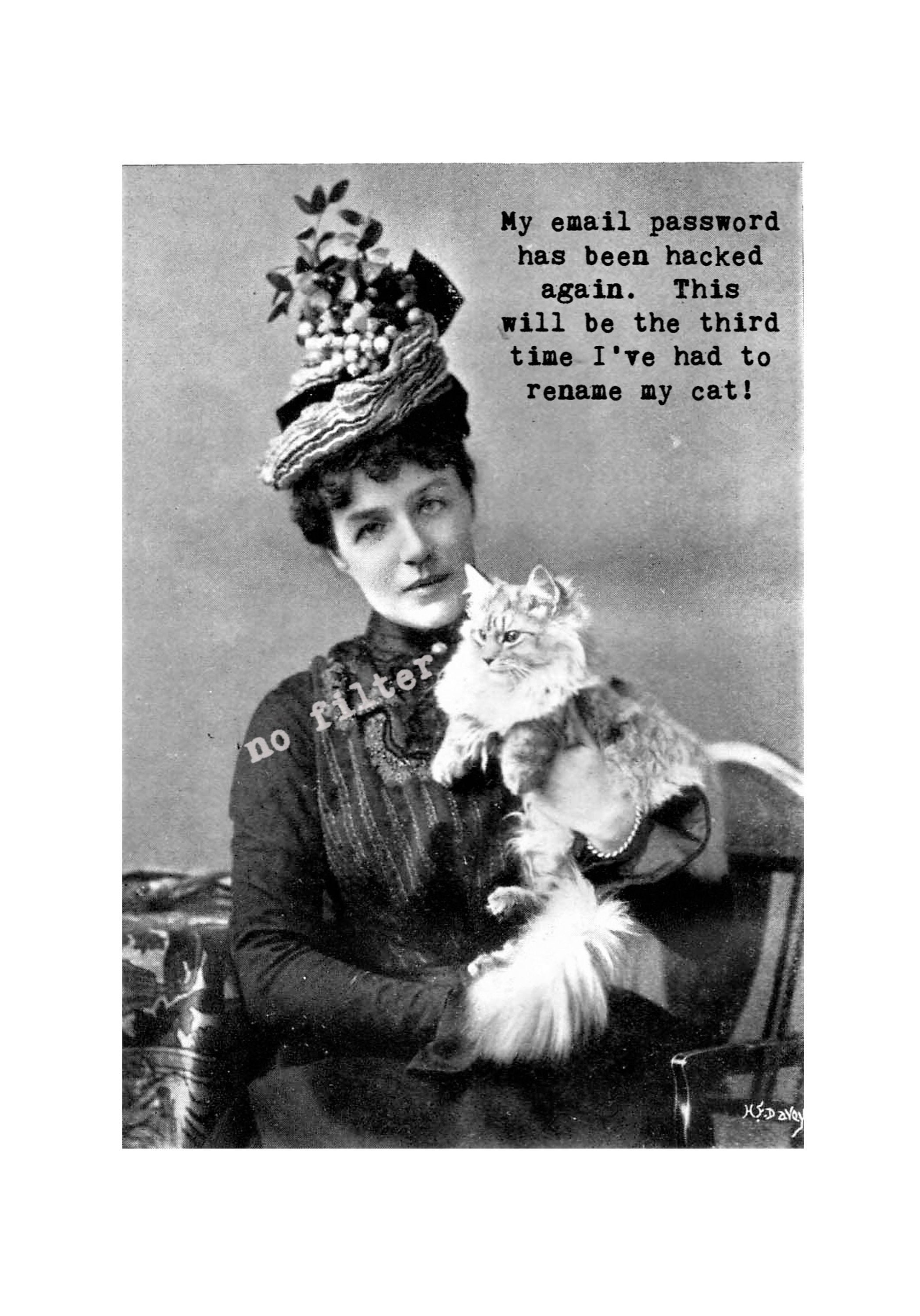 Cat and the Hat:  vintage photograph greeting card; sassy, humorous, funny, silly, sarcastic. #1210