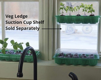 Window Garden Fiber Soil Direct Plant Seed Starters 36mm Etsy