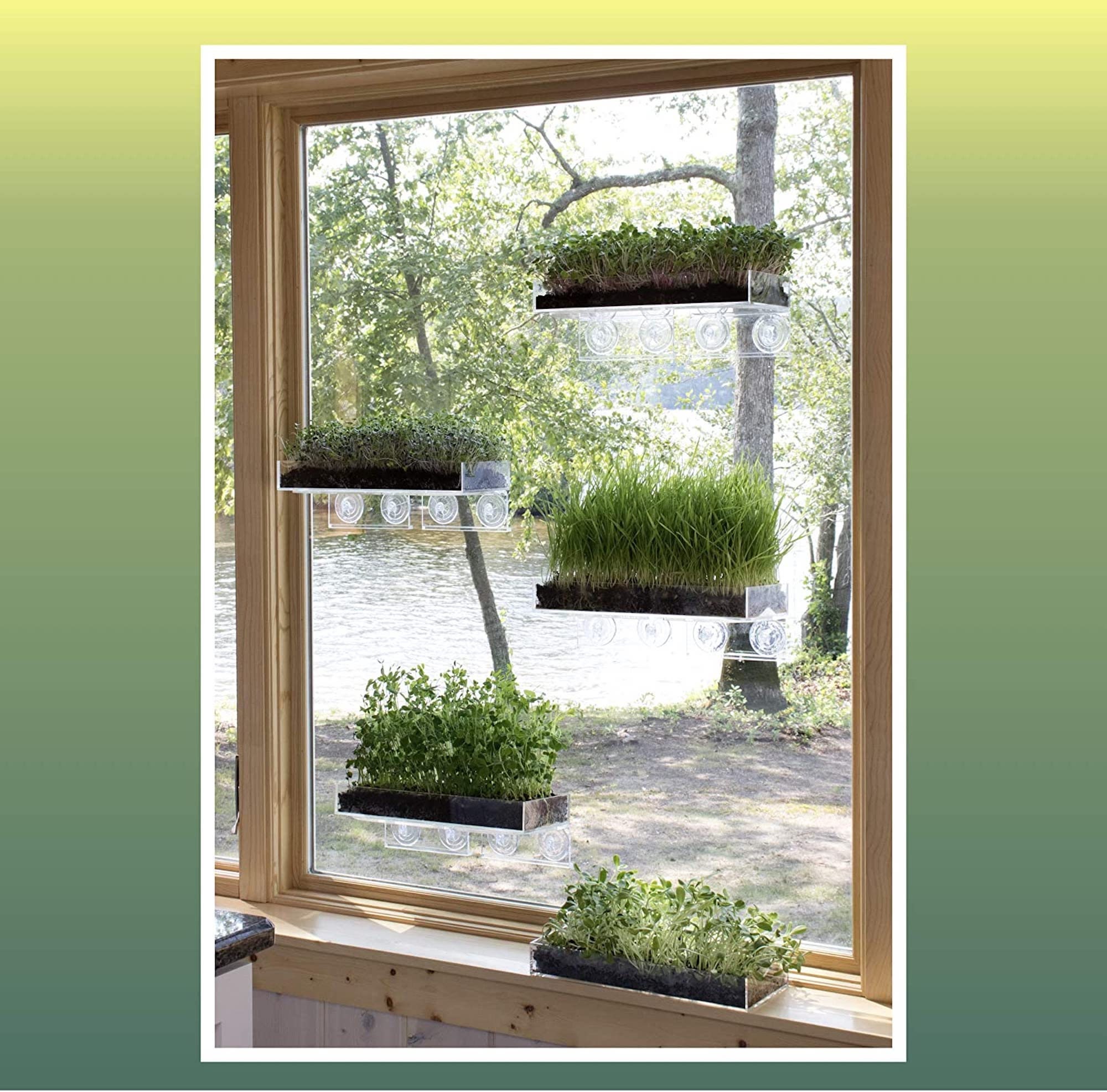 Window Garden Veg Ledge Shelf Microgreens Growing Kit Bundle Etsy