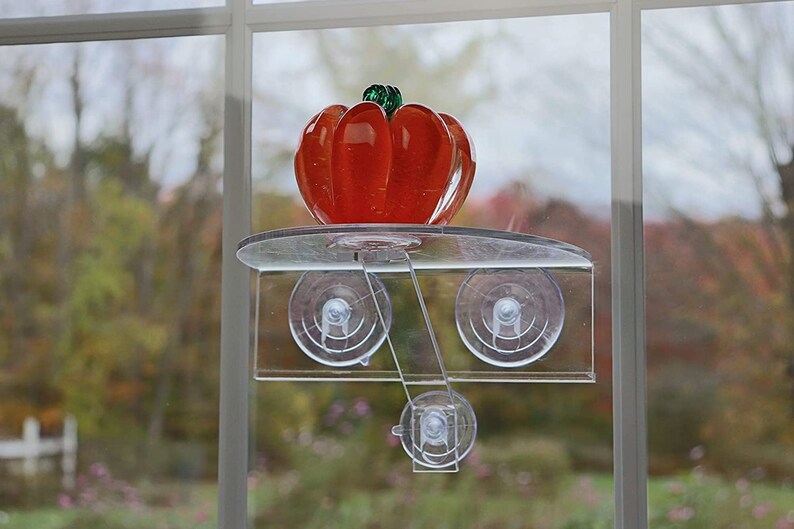Fenster Garten Ledge Beine Saugnapf Fenster Regal Etsy