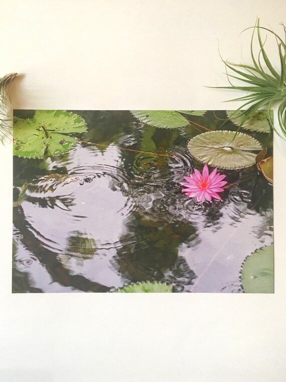 A4 Lilypad Print Etsy