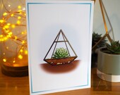 Terrarium 1
