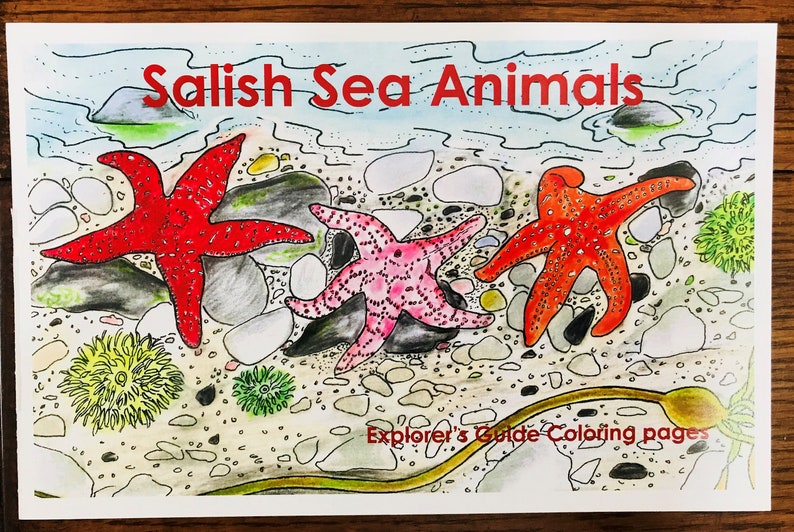 Salish Sea Animals Explorer's Guide Coloring Book Etsy