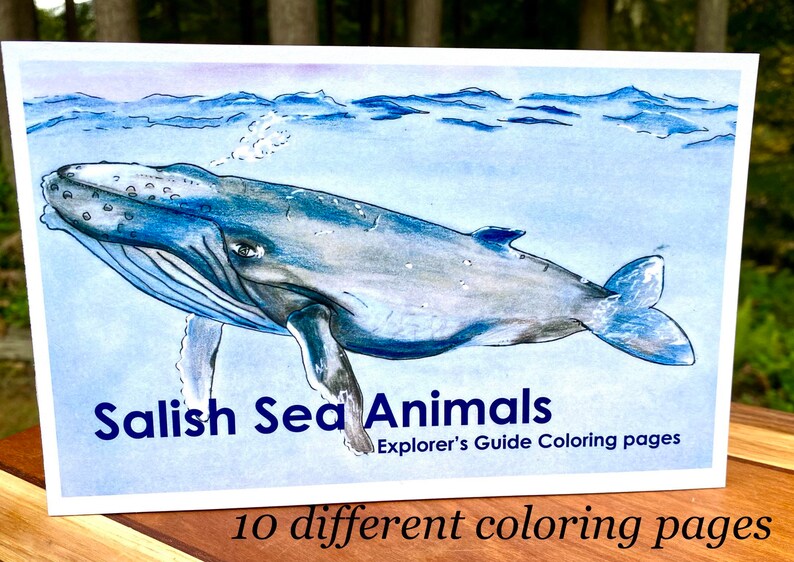 Salish Sea Animals Explorer's Guide Coloring Book Etsy