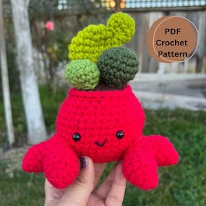 Crab Planter Pot Friend Crochet PDF Pattern, Crochet Amigurumi Pattern, Amigurumi PDF Pattern