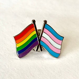 The LGBTQ + TRANSGENDER Rainbow Pride DOUBLE Flag Pin Badge for Lapels, Shirts, Backpacks, Hats, etc...
