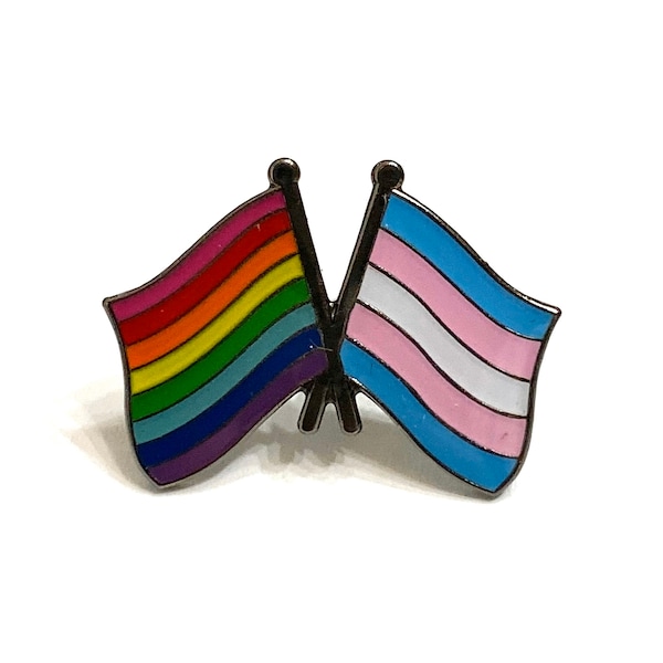 Gilbert Baker Original 8-Stripe LGBTQ + Monica Helms TRANSGENDER Rainbow Pride DOUBLE Flag Pin Badge