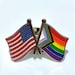 The Biden-Harris #Inauguration Commemorative LGBTQ + POC Progress Pride Double Rainbow and USA/American Flag Pin Badge