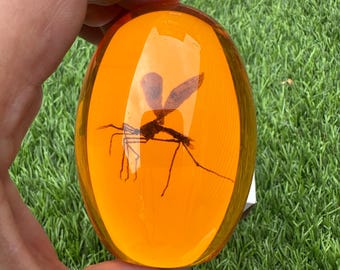 Pisapapeles de resina ámbar con forma de mosquito de Jurassic Park