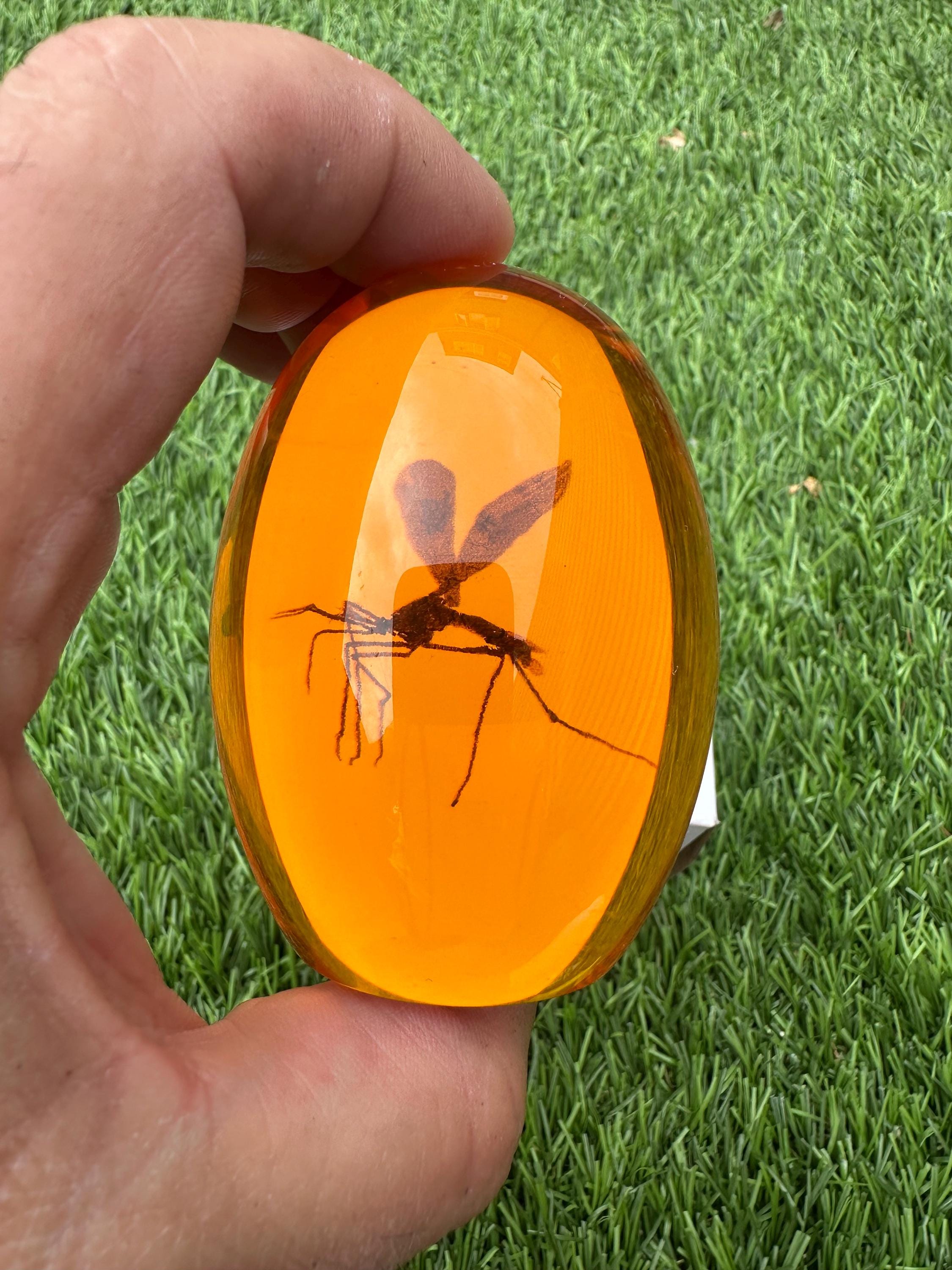 Jurassic park amber - Etsy 日本