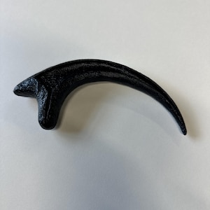 Op de afbeelding: Een zwarte, gebogen klauwreplica met een getextureerd oppervlak. Het object heeft een scherpe, puntige uiteinde en een bredere, dikkere basis die taps toeloopt in een lange, slanke en licht gebogen vorm, die het uiterlijk van een roofdierklauw nabootst.