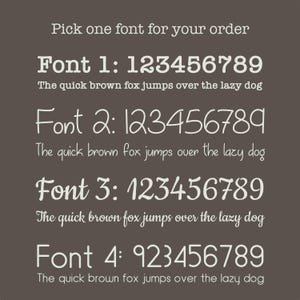 a collection of different font styles, each with its own unique characteristics. The fonts vary in size, color, and design, offering a diverse range of options for users to choose from when selecting a font for their order.