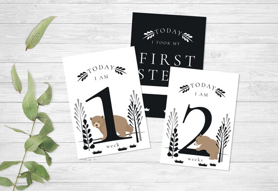 etsy milestone cards