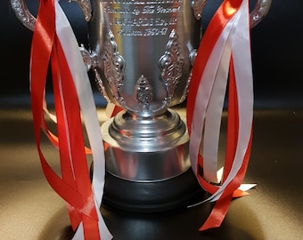Football Cup Trophy Replica/Free micro  cup replica