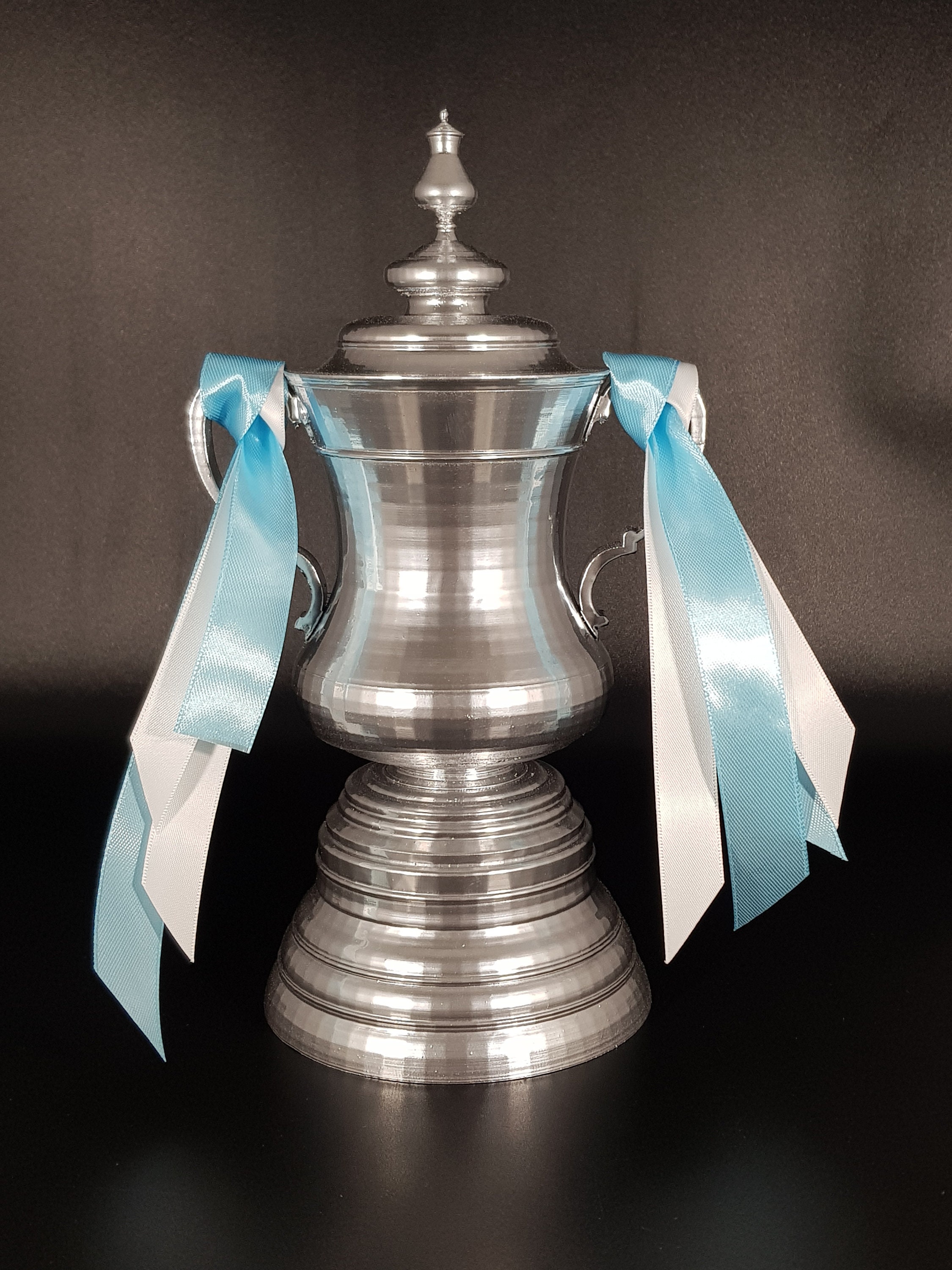 OOCCO FA Cup Trophäen Nachbildung Football League Champions Trophy Soccer  Award Cups Modell Kunstharz Fans Geschenk Souvenir Sammlerstücke Vitrine  Ornament,32cm : : Sport & Freizeit