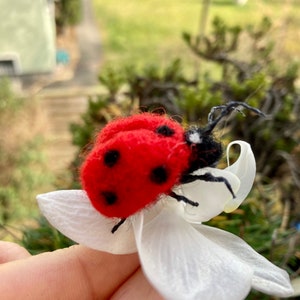 Joaninha de feltro agulhada Joaninha de feltro Joaninha realista Inseto de feltro Presente de dia das mães Ideia de presente Presente para ela Amuleto da sorte