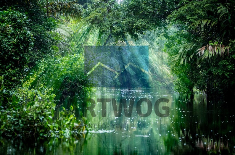 Arte De La Pared De Costa Rica Decoracion Del Dosel De La Etsy