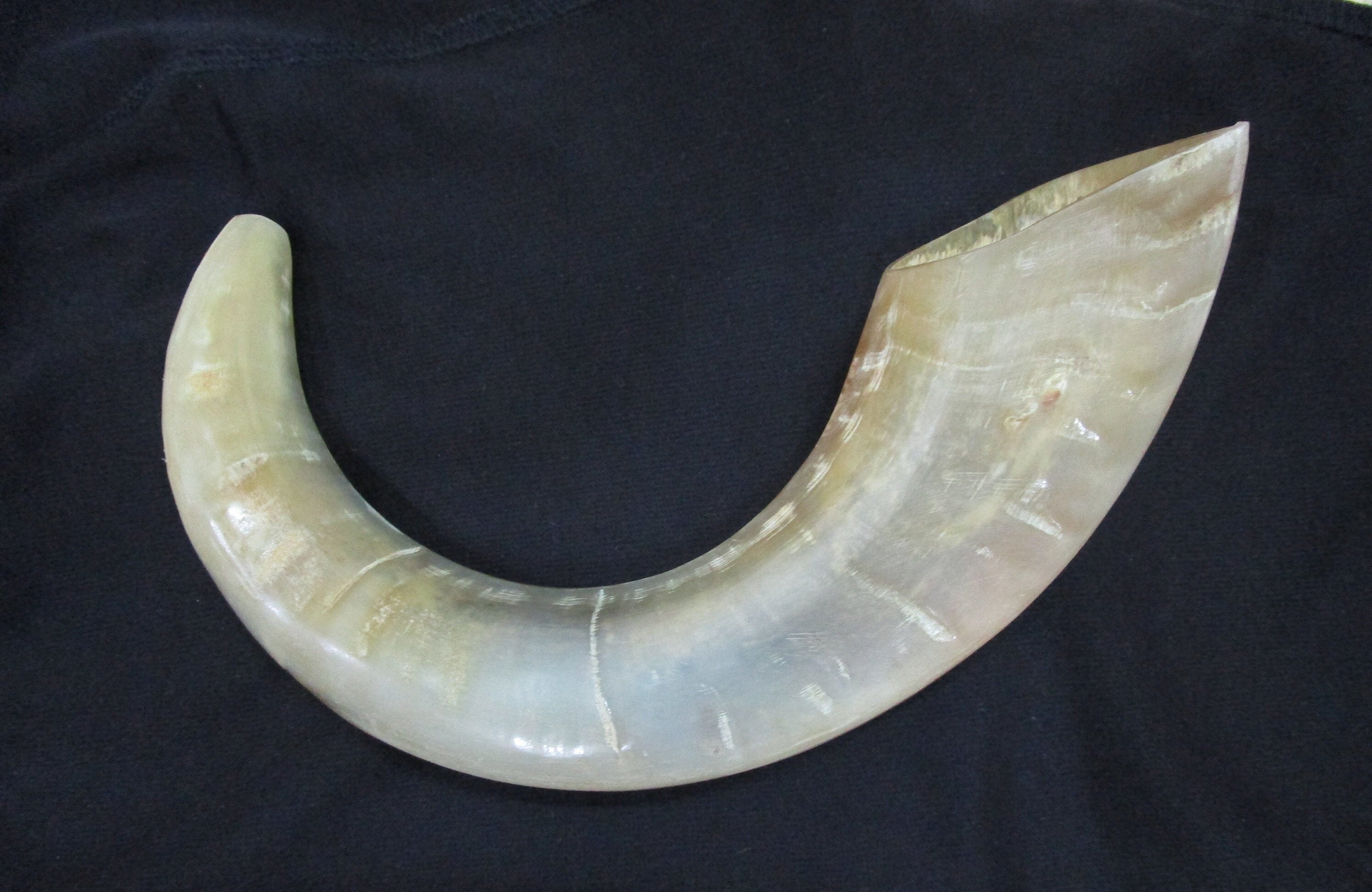 Handmade ram horn shofar mouthpiece odourless smooth blowing Etsy