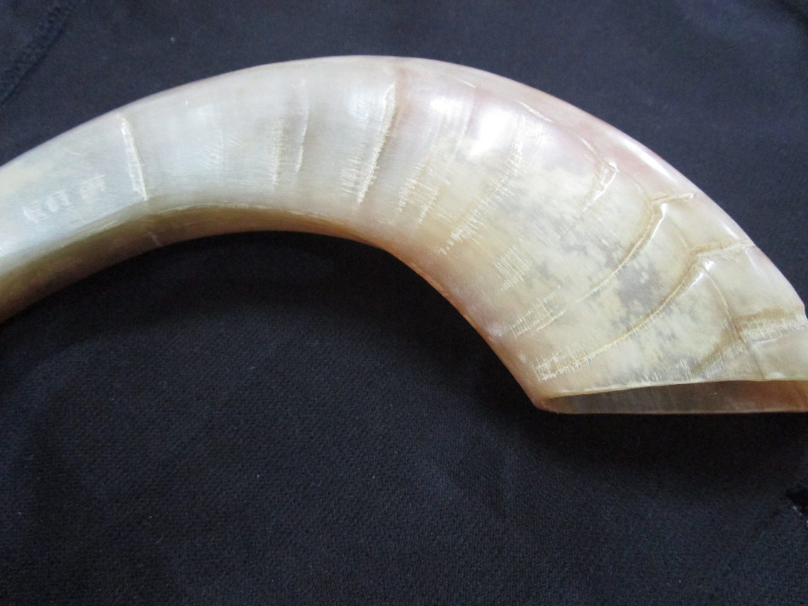 Handmade ram horn shofar mouthpiece odourless smooth blowing Etsy