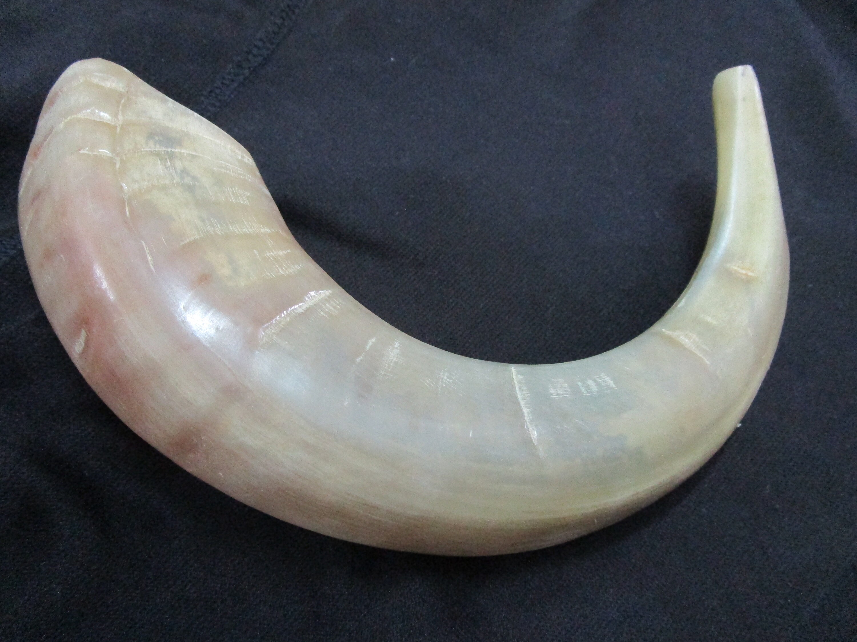 Handmade ram horn shofar mouthpiece odourless smooth blowing Etsy