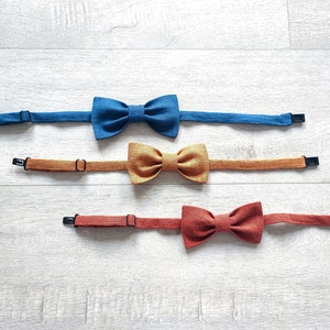 Father and son bow tie, Green children fly,  Page boy flie