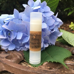 May include: A white tube of lip balm with a brown label that reads "Dixon Body Butter Peppermint Lip Balm". The lip balm is sitting on a brown surface with blue flowers in the background.