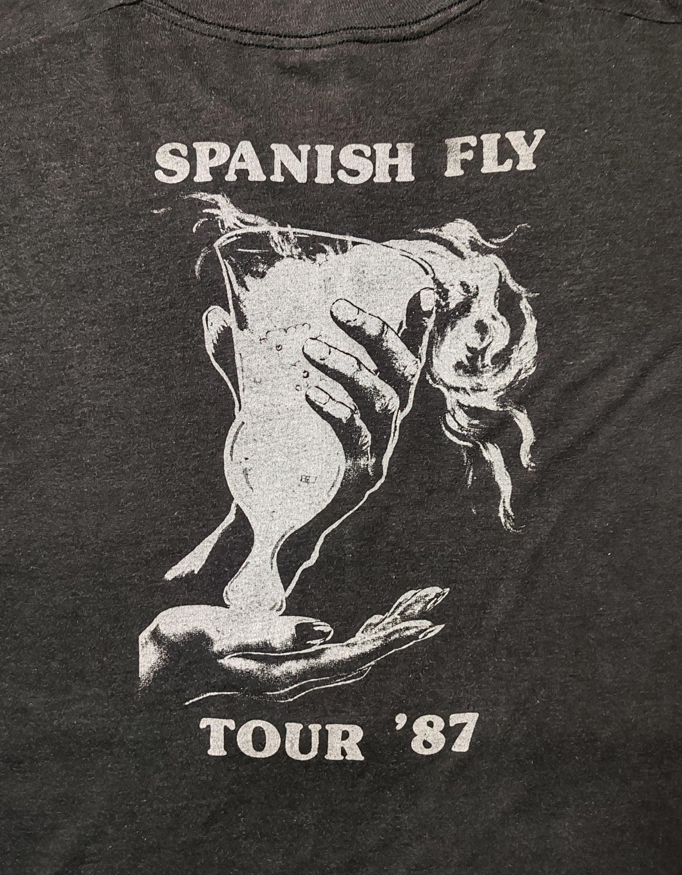 Rare 1987 Lisa Lisa and Cult Jam Spanish Fly Tour Vintage T Shirt 