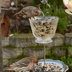 Teacup Bird Feeder, Vintage Depression Glass, Jeannette Glass, Iris, Tea Cup Saucer Two Tier Hanging Birdfeeder, Unique Garden, Gift for Mom
