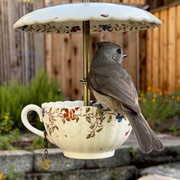 Teacup Bird Feeder, 1950s Vintage English Tea Cup, Copeland Spode, Hanging Bird Feeder, Gift for Mom, Mindfulness, Recovery, Housewarming