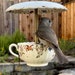 see more listings in the Tea Cup Bird Feeder section