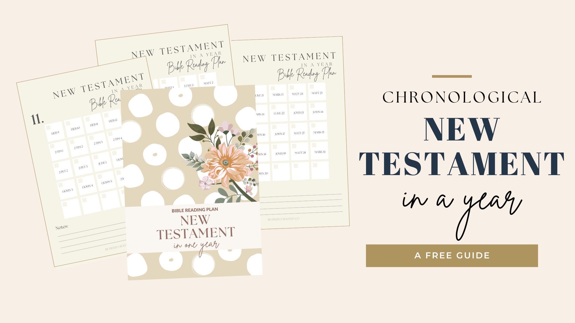 Chronological New Testament Reading Plan: Bible in a Year (digital ...