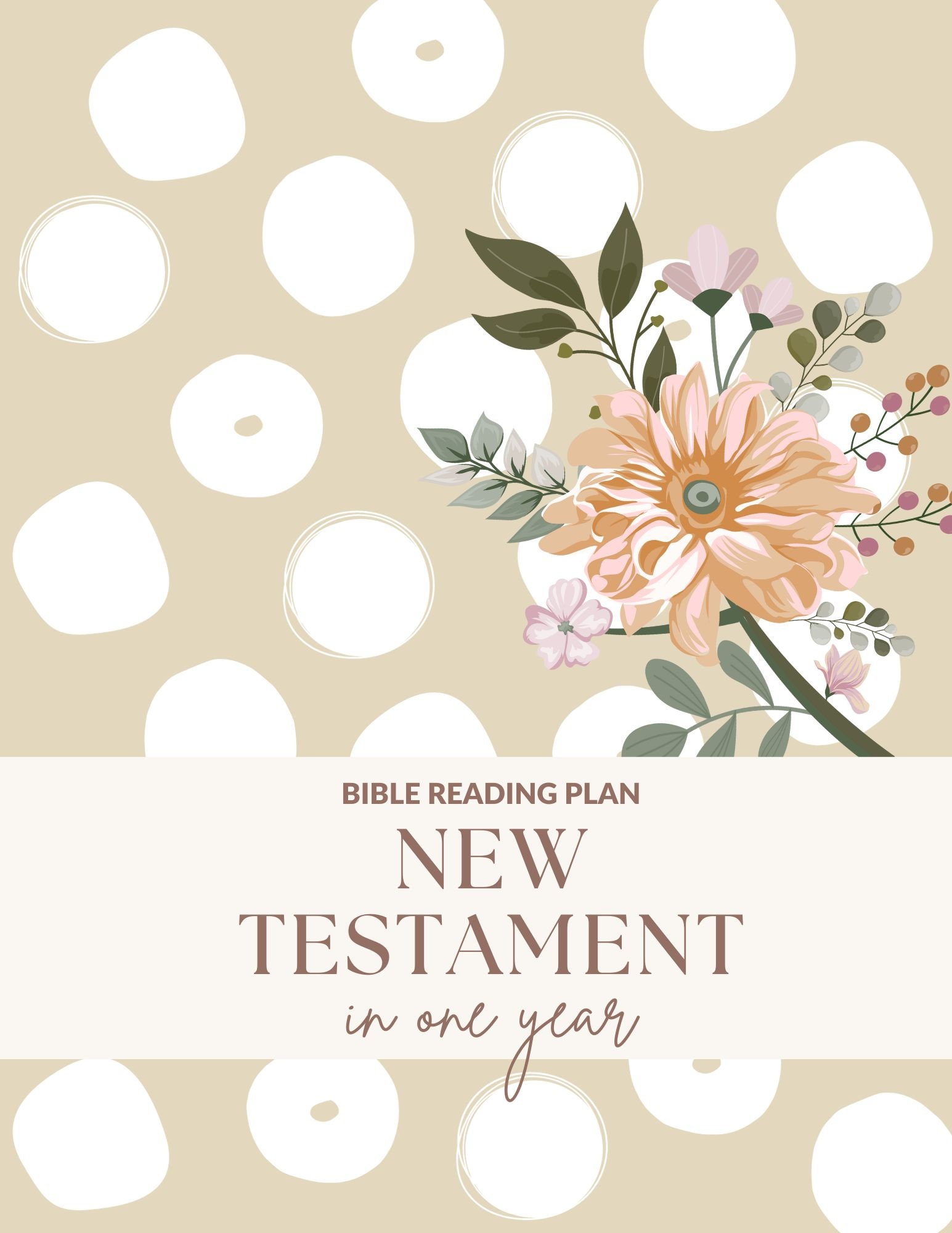 Chronological New Testament Reading Plan: Bible in a Year (digital ...