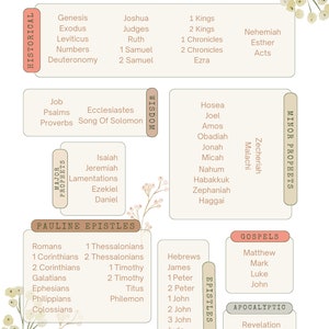 May include: A chart showing the books of the Bible organized by genre. The genres include Historical, Wisdom, Major Prophets, Pauline Epistles, Epistles, Gospels, and Apocalyptic.