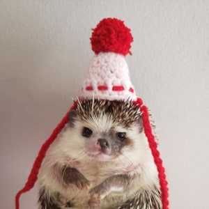 Crochet Hat for Pets - Hat for bunny, hedgehog, chameleon, hamster, guinea pigs, lizard, reptiles - Tiny hat for pets - Valentine&#39;s Day
