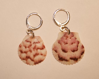Sea Shell Earrings, Huggies', Calico Scallop