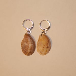 Könnte beinhalten: Ein Paar Ohrhänger mit natürlichen Muscheln. Jeder Ohrring hat einen silberfarbenen Reifen und einen tropfenförmigen Muschelanhänger. Die Muscheln sind beige und braun mit einzigartigen Mustern, die einen Strand-Look bieten.