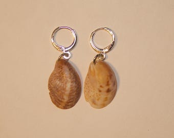 Sea Shell Earrings, Huggies, Atlantic Slipper Snail