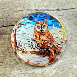 Schnee Eule Szene Glasblase Weihnachtsdekoration - Weihnachten - Weihnachtsmann - Ausgefallenes Geschenk - Büro - Briefbeschwerer - Unikat - Kunst - Geheimnis