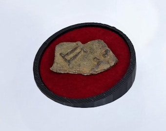 Circular display stands - Metal Detecting - finds - treasure - coin - display - roman - Saxon - mat - Detectorist - Show - Museum - Cabinet