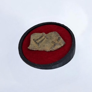 Circular display stands - Metal Detecting - finds - treasure - coin - display - roman - Saxon - mat - Detectorist - Show - Museum - Cabinet
