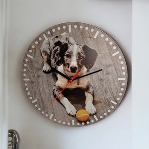 Könnte beinhalten: Eine runde Holzuhr mit einem weißen und grauen Holzmaserungsmuster. Ein schwarz-weißes Hündchen mit einem Tennisball ist auf dem Zifferblatt der Uhr abgebildet.