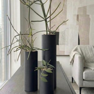 Könnte beinhalten: Drei schwarze, zylindrische Vasen unterschiedlicher Höhe, jede mit verschiedenen grünen Pflanzen. Die Vasen stehen auf einer dunklen Holzoberfläche, mit einem Fenster und einem abstraktes Gemälde in neutralen Tönen im Hintergrund, für eine moderne, minimalistische Ästhetik.